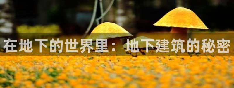 富联娱乐认酒威判官333OO：在地下的世界里：地下建筑的秘密