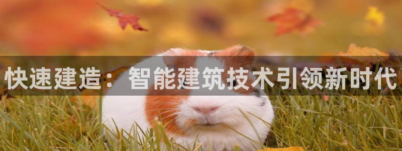 富联娱乐分红：快速建造：智能建筑技术引领新时代