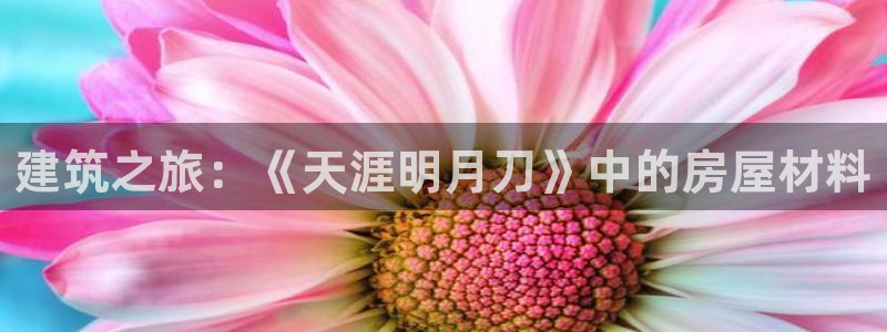 富联娱乐招商主管是谁呀：建筑之旅：《天涯明月刀》中的房屋材料