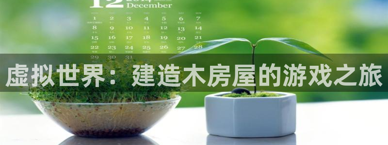 富联娱乐招商主管是谁呀：虚拟世界：建造木房屋的游戏之旅