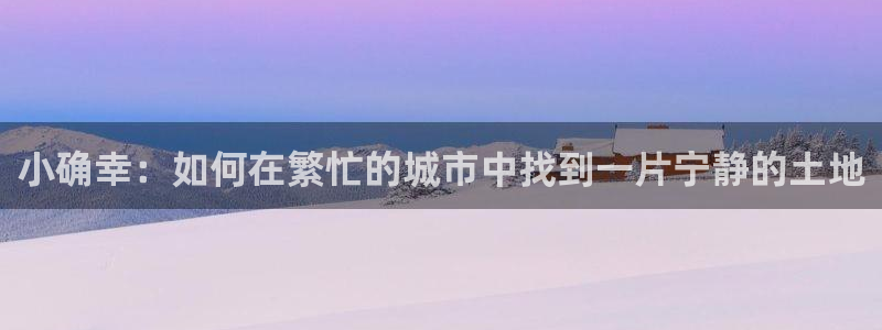 富联娱乐贴吧网站：小确幸：如何在繁忙的城市中找到一片宁静的土地