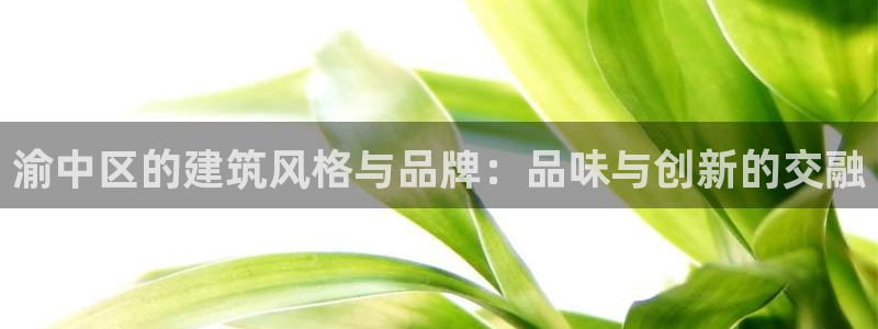 富联娱乐app下载安装：渝中区的建筑风格与品牌：品味与创新的交融