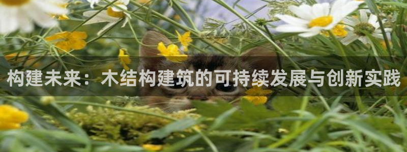 富联娱乐客户端怎么下载：构建未来：木结构建筑的可持续发展与创新实践