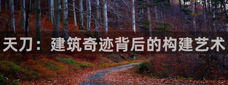 富联娱乐下载免费版：天刀：建筑奇迹背后的构建艺术