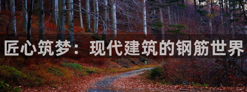 富联娱乐客户端登录不了：匠心筑梦：现代建筑的钢筋世界