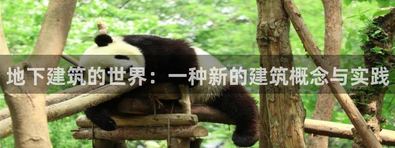 富联娱乐平台网址：地下建筑的世界：一种新的建筑概念与实践