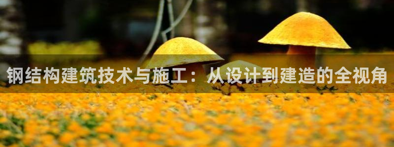 富联2娱乐资讯官网下载：钢结构建筑技术与施工：从设计到建造的全视角