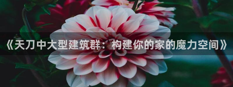 富联娱乐发展历程图：《天刀中大型建筑群：构建你的家的魔力空间》
