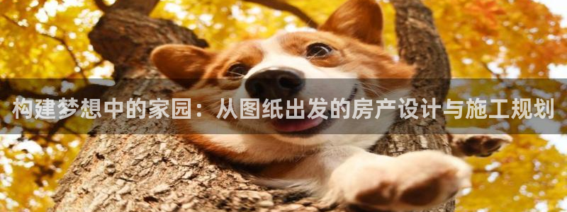 富联娱乐资金盘：构建梦想中的家园：从图纸出发的房产设计与施工规划
