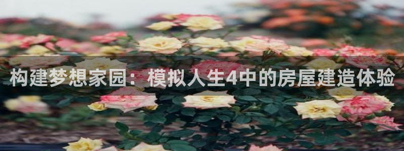 富联娱乐招商统判官333OO：构建梦想家园：模拟人生4中的房屋建造体验
